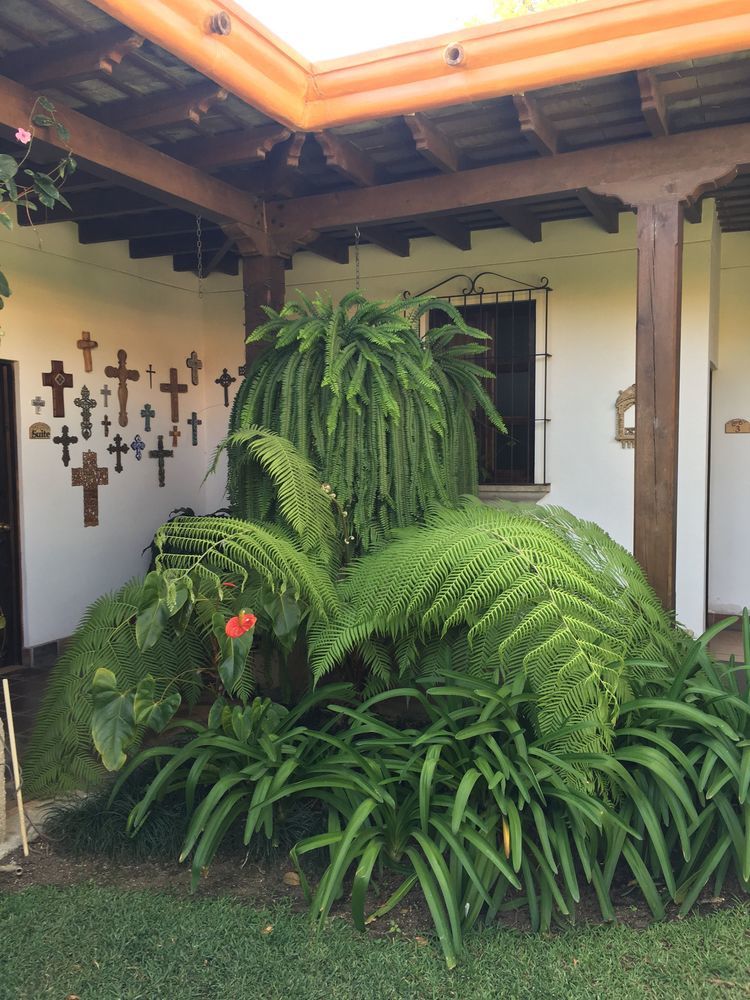 Hotel Las Marias Antigua Eksteriør billede